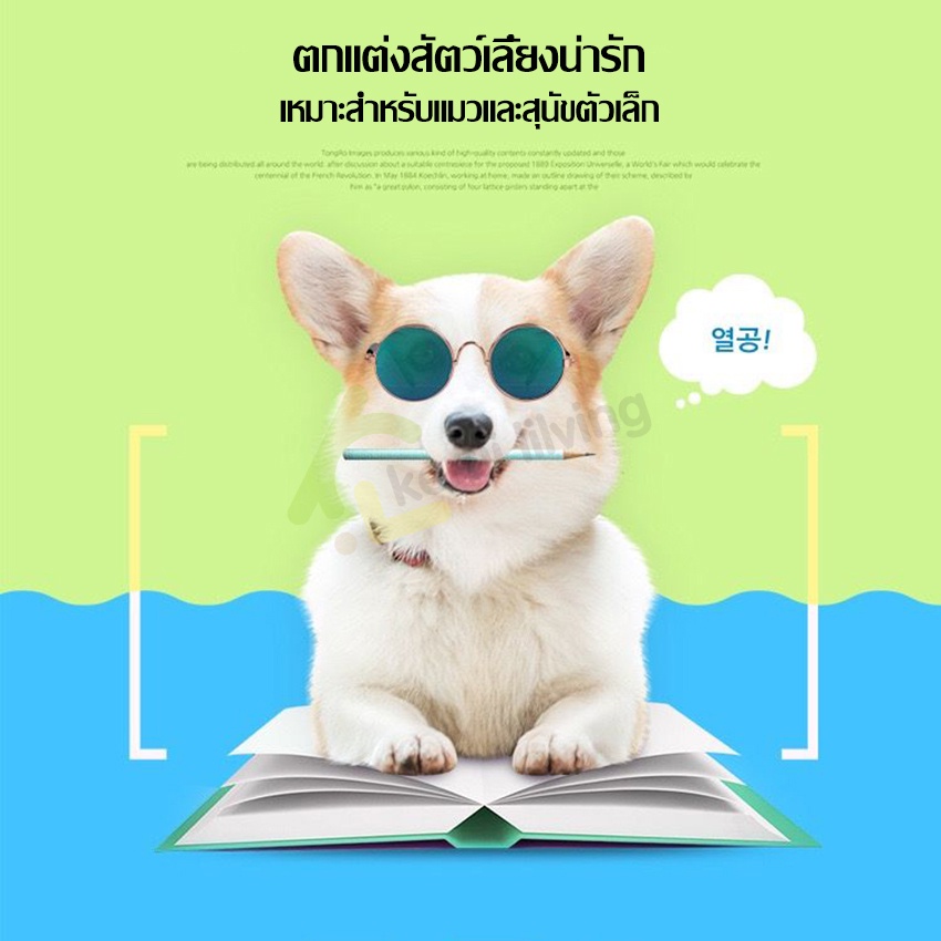 แว่นตาสัตว์เลี้ยง-แว่นตาหมา-แว่นตาสุนัข-แว่นแมว-แว่นหมา-แว่นสุนัข-pet-glasses-เหมาะสำหรับแมวและสุนัขตัวเล็ก-แว่นตาแมว