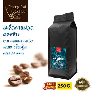 ภาพหน้าปกสินค้าเมล็ดกาแฟสด ดอยช้าง Doi Chang Coffee (Arabica100%) คั่วกลาง ส่งฟรีทั่วไทย ที่เกี่ยวข้อง