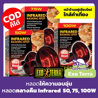 หลอดไฟอินฟาเรดให้ความร้อน กลางคืน หลอดความร้อน Exo-Terra Infrared Basking Spot สำหรับเต่าบก เบียร์ดดราก้อน