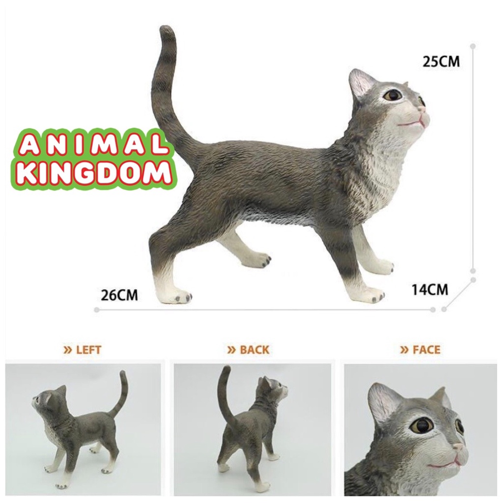 animal-kingdom-โมเดลสัตว์-แมว-เทา-ขนาด-26-50-cm-แบบนิ่ม-จากหาดใหญ่