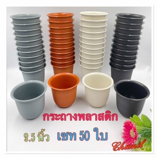 กระถางต้นไม้ 3.5 นิ้ว เซท 50 ใบ(ลอน) กระถางต้นไม้พลาสติก สีขาว ส้ม เทา ดำ