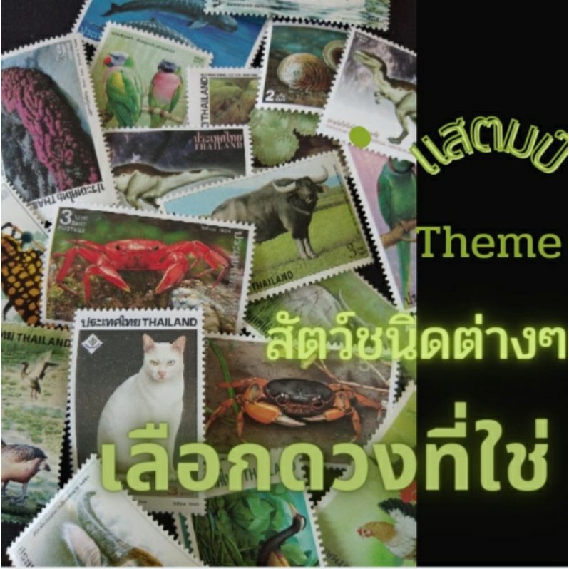 รูปภาพของสัตว์ชนิดต่างๆลองเช็คราคา