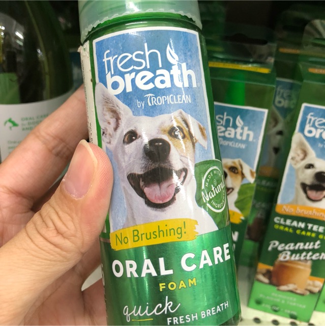 ภาพหน้าปกสินค้าFresh Breath Instant Fresh Foam ใช้แทนยาสีฟัน กินได้ ฟันสะอาด ปากหอมสดชื่น กำจัดแบคทีเรีย สุนัข 133 ml จากร้าน us_supply2017 บน Shopee