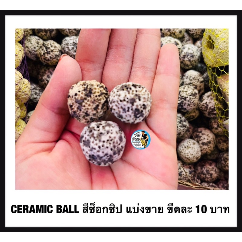 ceramic-ball-สีซ็อกชิป-แบ่งขาย-ขีดละ-10-บาท-เซรามิคริง-มีรูพรุนสูง-ใช้เป็นที่อยู่ของจุลินทรีย์