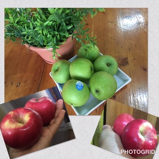 แอปเปิ้ลสดๆ 10 ลูก มีทั้ง แดงและเขียวอร่อยๆกันถึงหน้าบ้าน คัดที่สวยๆเลยจ้า