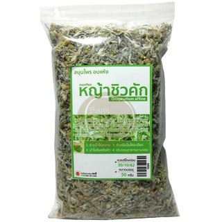 หญ้าชิวคัก (Gnaphalium affine) 50 กรัม ชิวคักแห้ง ฉื่อคัก หญ้านางนวล ทำขนมเทียน