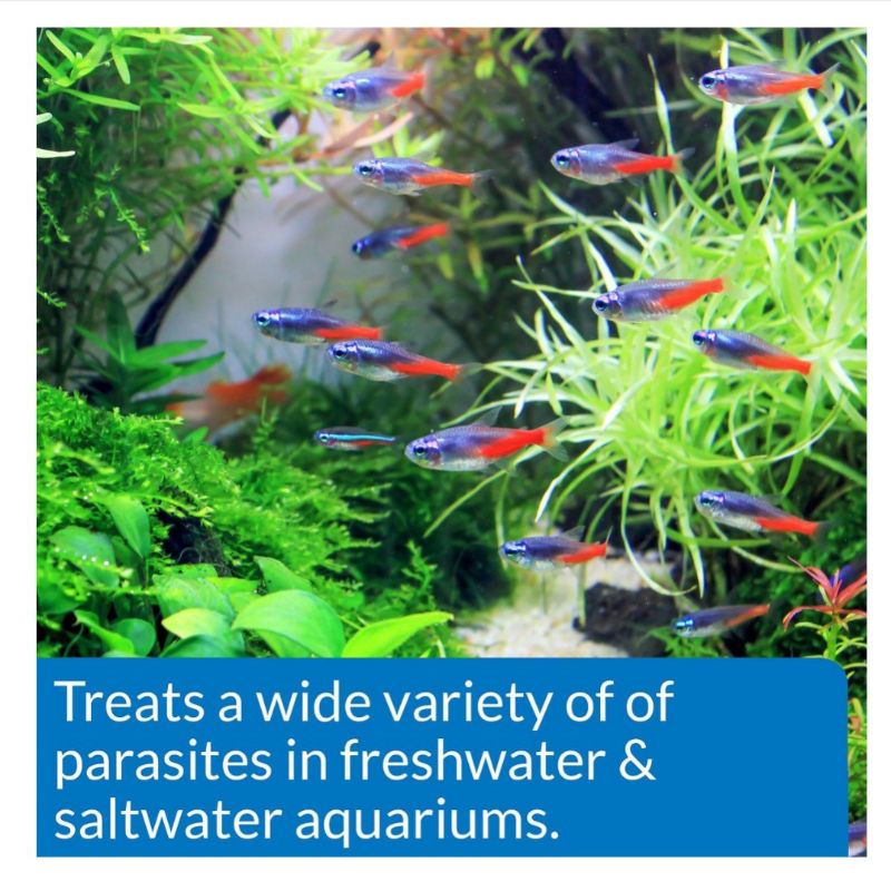 general-cure-freshwater-amp-saltwater-aquarium-parasitic-fish-disease-treatment
