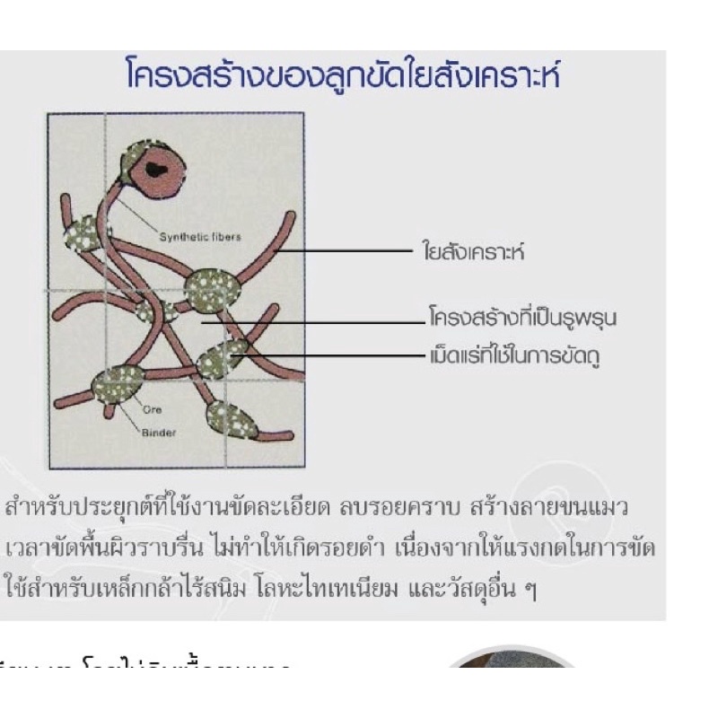 ภาพสินค้าSumo ลูกขัด ใยสังเคราะห์   ใบขัด ใบเจียร 4 นิ้ว จากร้าน birdmiau บน Shopee ภาพที่ 2