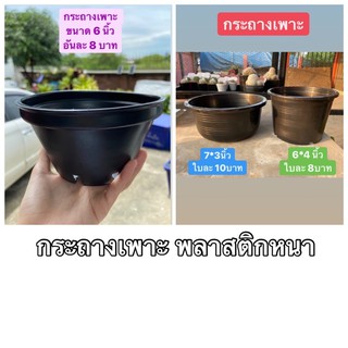 ภาพหน้าปกสินค้าsjcactus กระถางเพาะ เก็บปลายทางได้ ซึ่งคุณอาจชอบสินค้านี้