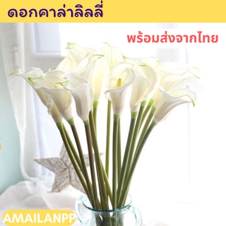 ภาพหน้าปกสินค้า[ส่งด่วน 1-2วัน] ดอกลิลลี่ ดอกไม้ปลอม ดอกไม้ตกแต่งบ้าน ดอกลิลลี่ตกแต่งบ้าน ต้นไม้มงคล Lilly Flower Decoration ดอกทิวลิป ที่เกี่ยวข้อง