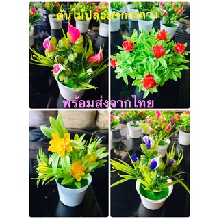 ต้นไม้ปลอม ดอกไม้ปลอม [พร้อมส่ง]ต้นไม้มงคล ต้นไม้ตกแต่งพร้อมกระถาง