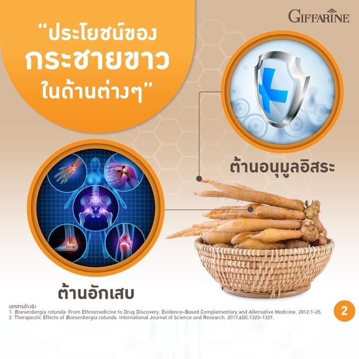 กระชายขาวสกัด-ชนิดแคปซูล-กิฟฟารีน-กระชาย-พลัส-giffarine-krachai-plus-รับประทานง่าย-และเข้มข้นมากกว่าการทานแบบสด