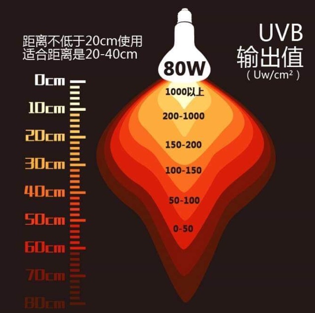 nomoypet-หลอดไฟ-uva-uvb-80w