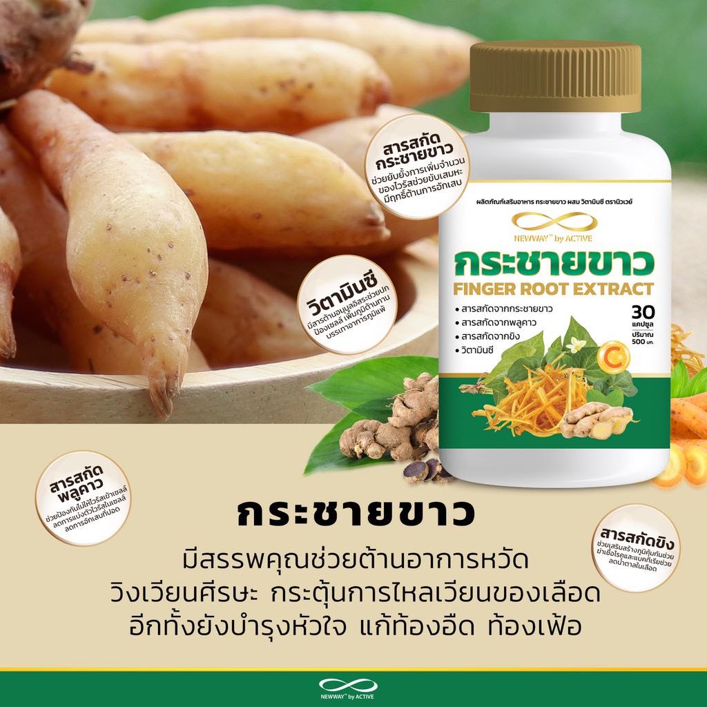 newway-finger-root-extract-กระชายขาวผสมวิตามินซี-อัดแน่นประโยชน์เต็มๆรวมอยู่ในกระปุกเดียว