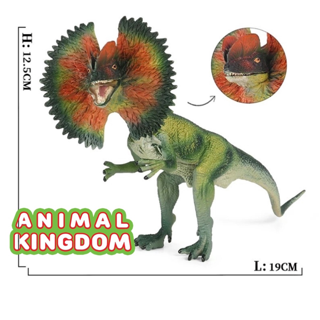 animal-kingdom-โมเดลไดโนเสาร์-dilophosaurus-เขียว-ขนาด-19-00-cm-จากหาดใหญ่