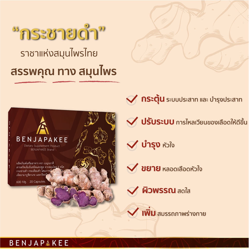 กระชายดำ-สกัด-สูตรเข้มข้น-พร้อมสารสกัดเน้นๆอีกห้าชนิดรวมไว้ในเม็ดเดียว