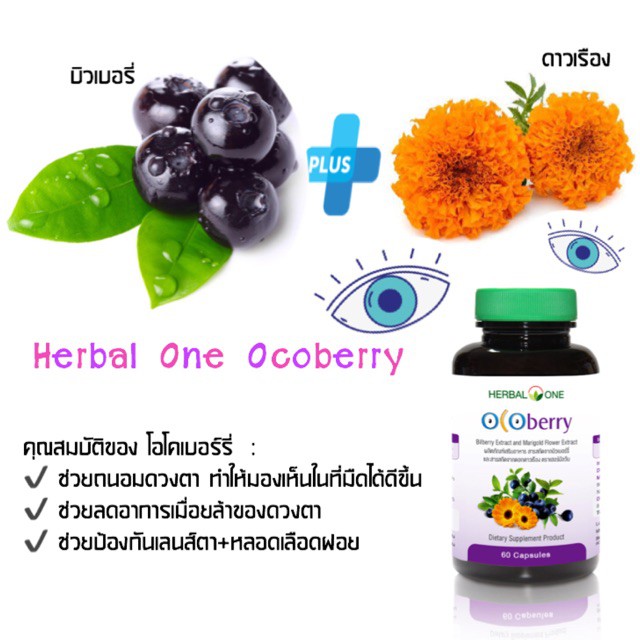 บำรุงสายตา-herbal-one-ocoberry-เฮอร์บัล-วัน-โอโคเบอร์รี่-อ้วยอันโอสถ-60-เม็ด
