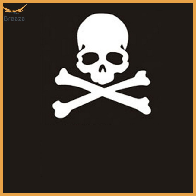 breeze-car-sticker-ghost-rider-funny-reflective-sticker-skull-motorcycle-decoration-sticker