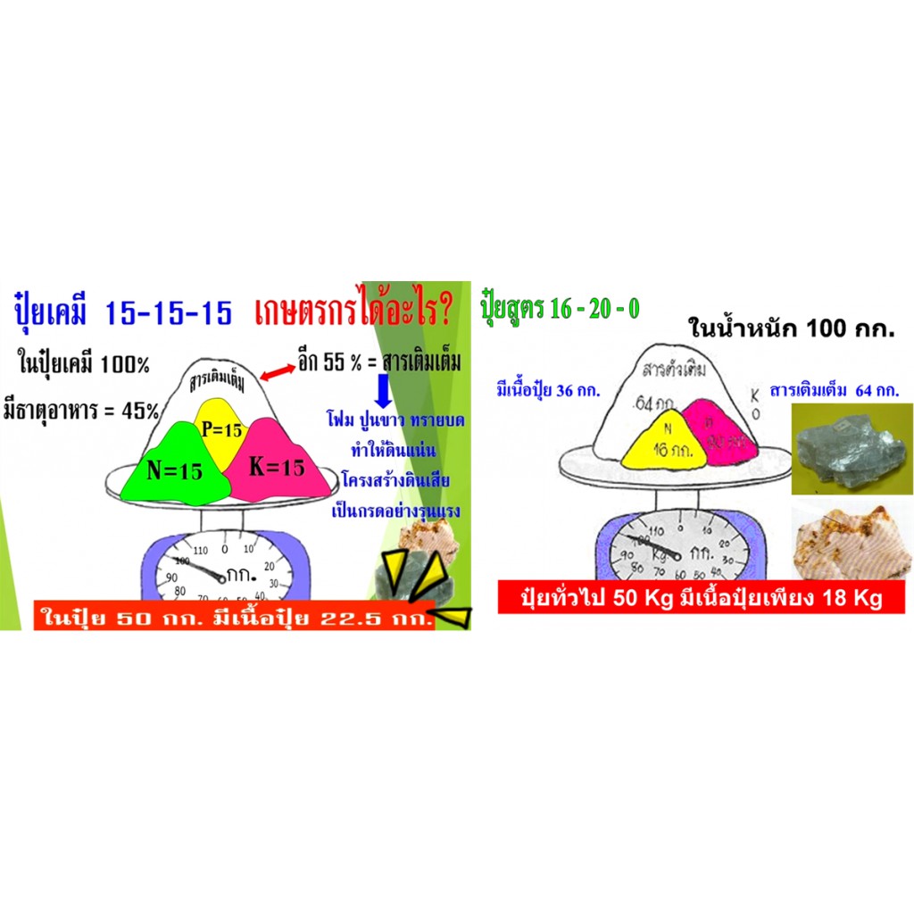 ปุ๋ยมูลค้างคาว-6-3-3-ขนาด-1-กก-เนื้อปุ๋ยล้วน-100-อินทรีย์ภัณฑ์