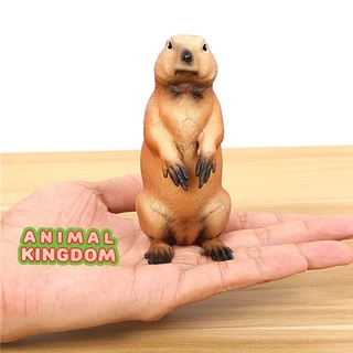 Animal Kingdom - โมเดลสัตว์ มาร์มอต แดง ขนาด 10.0 CM (จากหาดใหญ่)