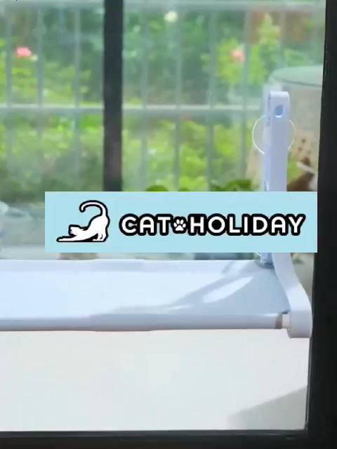 catholiday-ที่นอน-sunny-seat-โครง-pvc-ที่นอนติดกระจก-ที่นอนแมว