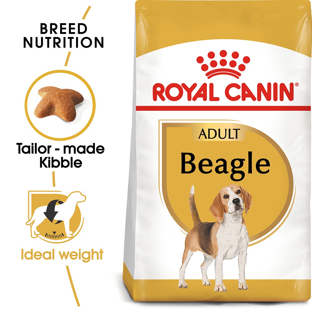 royal-canin-beagle-adult-3-kg-โรยัล-คานิน-สุนัขบีเกิ้ล-อายุ10-เดือนขึ้นไป