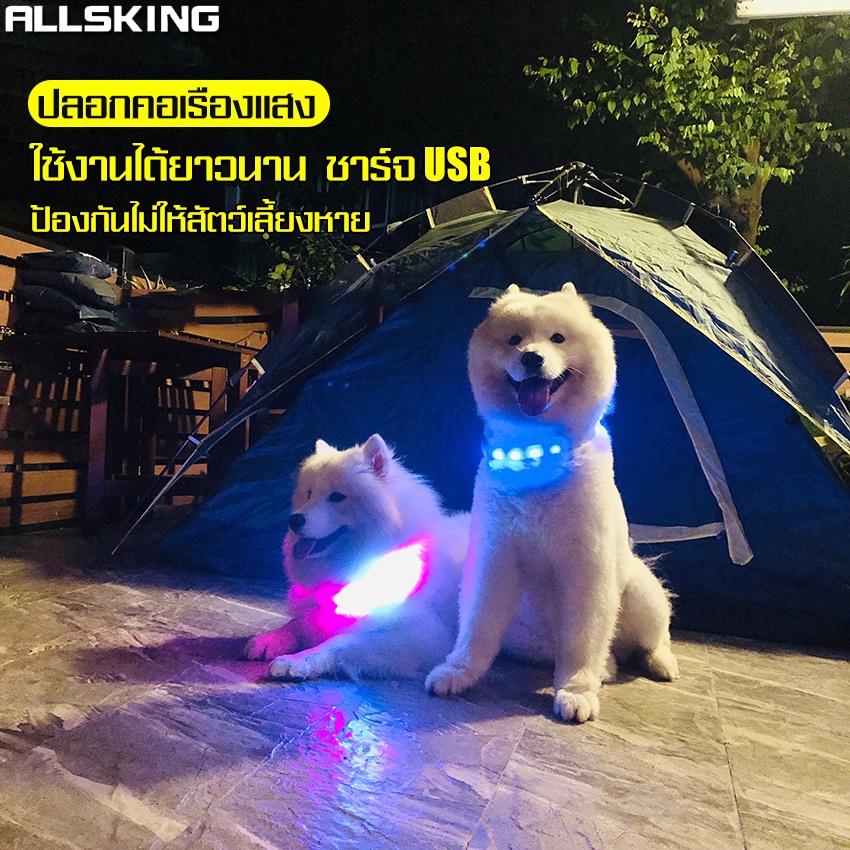 allsking-ปลอกคอเรืองแสง-ปลอกคอนิรภัย-ปลอกคอแสงสะท้อน-s-m-l-ปลอกคอสัตว์เลี้ยง-pet-collar-มีไฟ-led-เรืองแสง-ชาร์จ-usb