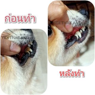 สินค้า ที่ขูดหินปูนสุนัข เจลทำความสะอาดฟันสุนัข เจลขัดหินปูนสุนัข ทำเองง่ายๆได้ที่บ้าน