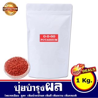 ปุ๋ยบำรุงผล 0-0-60 (1 Kg) ปุ๋ย เพิ่มความหวาน เพิ่มน้ำหนัก ขยายผล เร่งสี เร่งแป้ง บำรุงผล ให้มีคุณภาพ สำหรับ ผัก ผลไม้