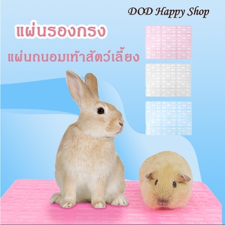 DOD แผ่นรองกรง 34x25cm แผ่นถนอมเท้าสัตว์ขนาดเล็ก แผ่นกรงฉี่ กระต่าย แฮมเตอร์ แกสบี้ ส่งไว