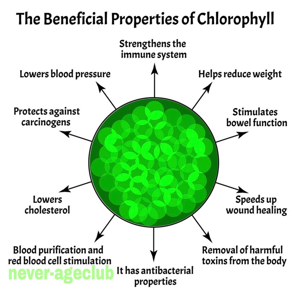 ภาพสินค้าคลอโรฟิล ยูนิซิตี้ CHLOROPHYLL UNICITY ล้างสารพิษ เพิ่มภูมิต้านทาน ขนาดทดลอง 10 กรัม จากร้าน cocoslim บน Shopee ภาพที่ 2