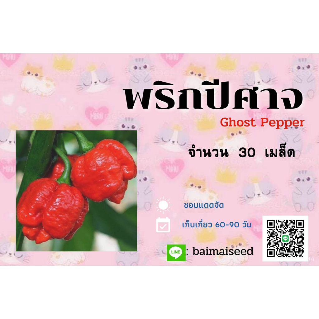 อินทรีย์-ต้น-ดอก-เมล็ดพันธุ์พริกปีศาจ30เม็ด-5qrj