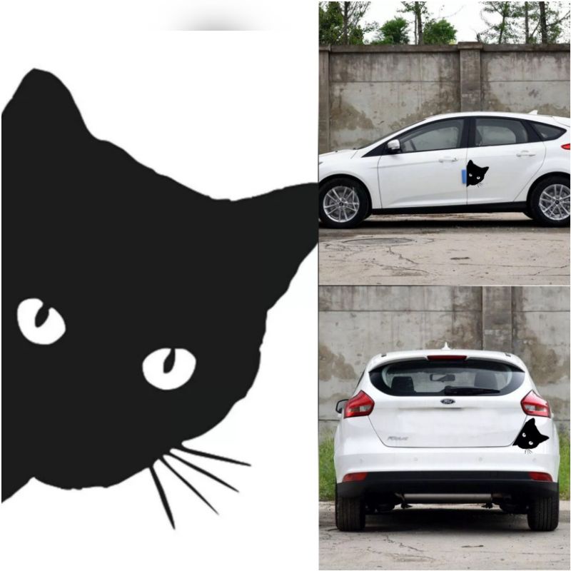สติกเกอร์รูปแมวติดรถ