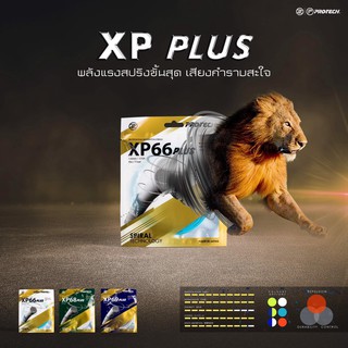 ภาพขนาดย่อของภาพหน้าปกสินค้าProtech Sports String XP66 plus จากร้าน protech.sports บน Shopee