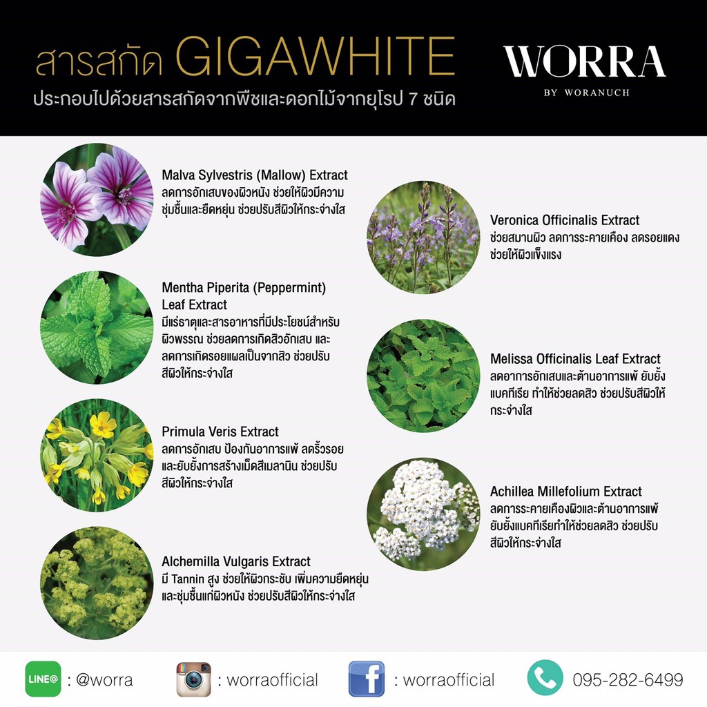 worra-cream-คืนความอ่อนเยาว์และเผยผิวใหม่ที่สดใสและเนียนยิ่งขึ้น-ฟื้นฟูผิวลึกถึงระดับเซลล์ผิวเพื่อคงผิวสวย