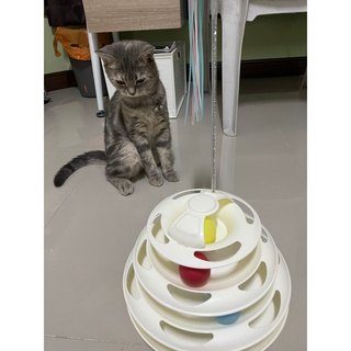 ภาพขนาดย่อของภาพหน้าปกสินค้า️รางบอลแมว4ชั้น ของเล่นแมว รางบอลแมว รางบอล4ชั้น ️ จากร้าน ratimapeem บน Shopee ภาพที่ 4