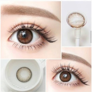 Mini Kelly ( Brown, Gray ) /Kitty Kawaii​ คิตตี้ คาวาอิ สีน้ำตาล/สีเทา คอนแทค​เลนส์ contactlens  Kitty Kawaii​