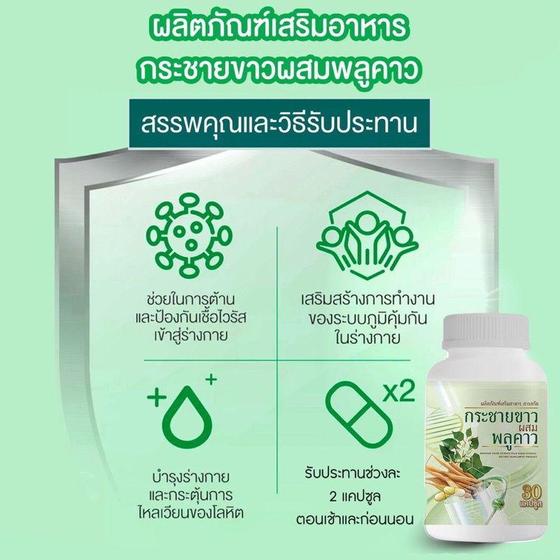 กระชายขาวสกัด-ผสมสารสกัดพลูคาว