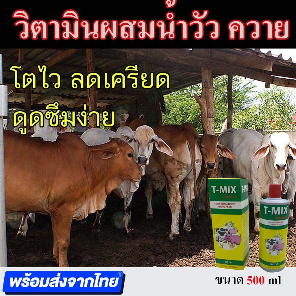 สินค้าขายดี-วิตามินวัวควาย-วิตามินผสมน้ำ-วิตามินหมู-วิตามินวัว-ขนาด-500-ml-วิตามินหมู-วัว-ควาย-วิตามินไก่ไข่