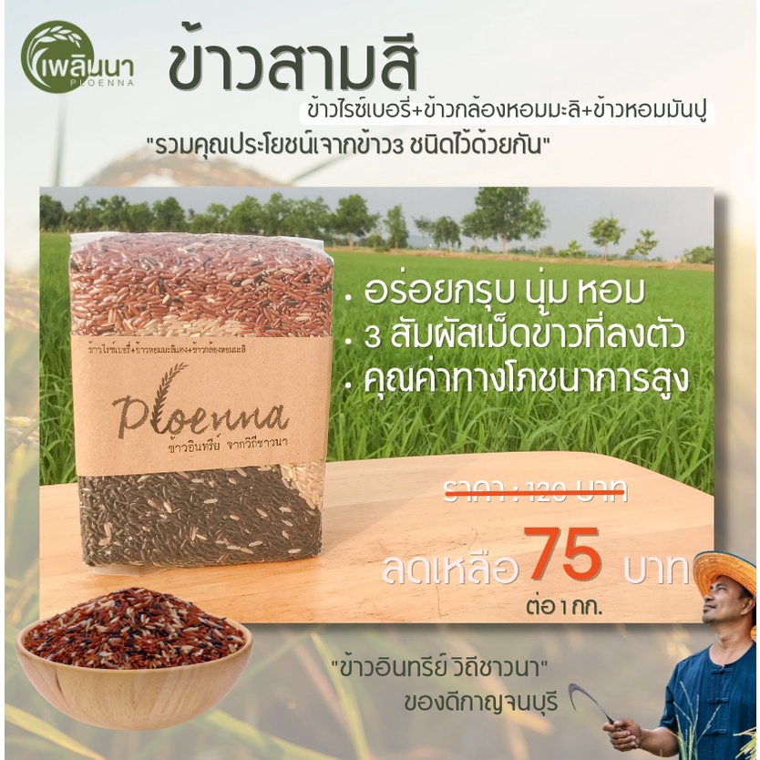 ข้าวเพลินนา ข้าวสามสี บรรจุถุงสุญญากาศ ขนาด 1 กก. ข้าวอินทรีย์ ข้าวออ ...