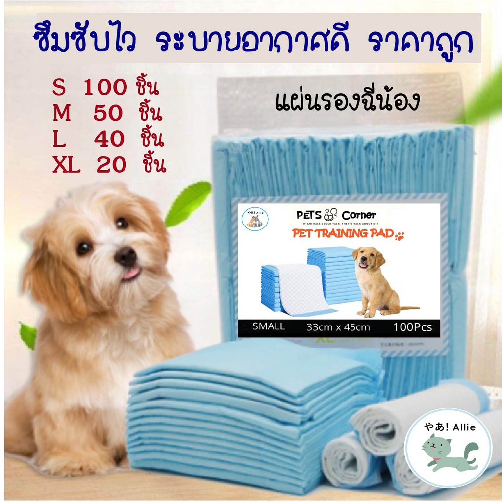 แผ่นรองฉี่-จาก-pet-corner-แผ่นรองฉี่น้องหมา-น้องแมว-ช่วยฝึกขับถ่ายสุนัขและสัตว์เลี้ยง