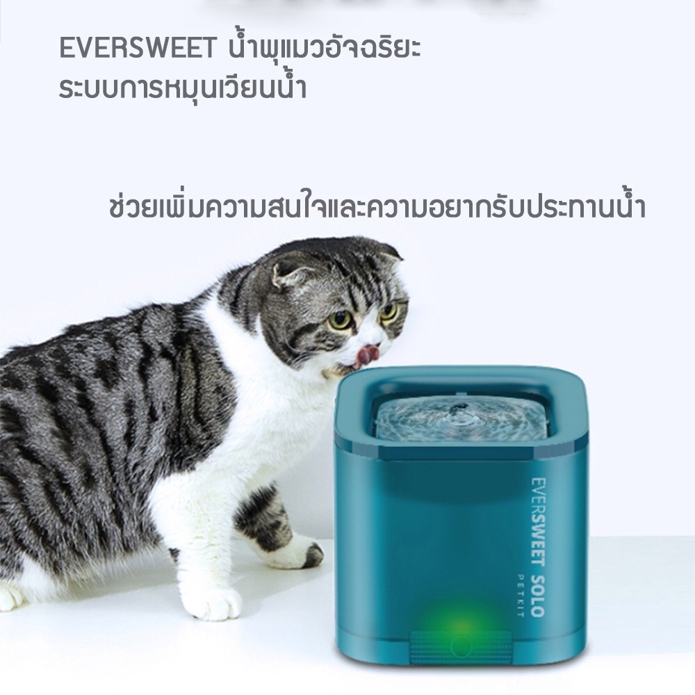 petkit-น้ำพุแมว-ทำงานเงียบไร้เสียงรบกวน-กระทัดรัด-ใช้งานง่าย