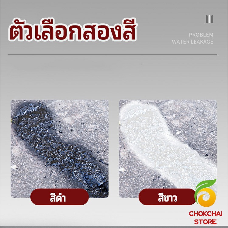 chokchaistore-สเปรย์ซ่อมรอยรั่ว-สเปรย์ซ่อมแซมผนังซึม-ซ่อมฝ้าเพดานรั่ว-leak-repair-spray