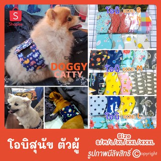 โอบิ สำหรับสุนัขตัวผู้🐕🎉 เกรดพรีเมี่ยม✨ ✅เนื้อผ้าCotton 💯 ‼️ ไม่หด ไม่ย้วย ซักเครื่องได้จ้ะ‼️