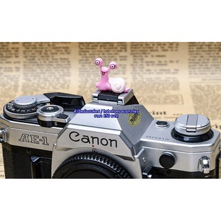 ตัวปิดช่องแฟลช / Hot shoes Fuji  XA2 XA10 XM1 XA1 XA2 XT1 XT10 XT20 XT30 XE1 XE2 XE3 XA1  XA3 XA5 XA10