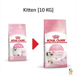 Royal Canin Kitten Cat [ 10 KG ] อาหารลูกแมว รอยัลคานิน 4-12 เดือน  แมว ลูกแมว อาหารเม็ด