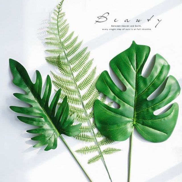 leaf-5-ใบไม้แต่งบ้าน-ใบไม้ปลอม-ใบไม้ตกแต่ง-ใบไม้พลาสติก-พร๊อพถ่ายภาพ-พร๊อพถ่ายรูปสินค้า