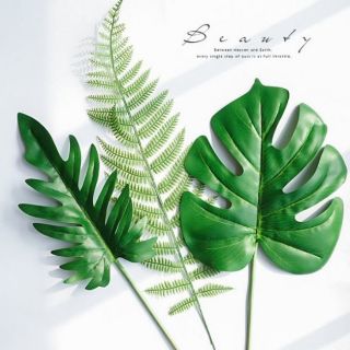 Leaf-5 🌿 ใบไม้แต่งบ้าน ใบไม้ปลอม ใบไม้ตกแต่ง ใบไม้พลาสติก พร๊อพถ่ายภาพ พร๊อพถ่ายรูปสินค้า