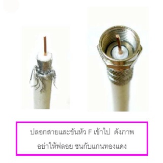 สินค้า F-TYPE แบบเกลียวใน F-หมุน