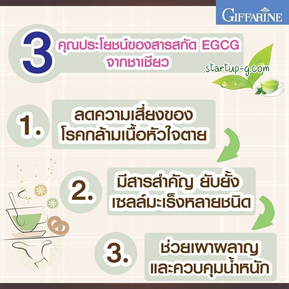 ชาเขียว-egcg-maxx-อี-จี-ซี-จี-แมกซ์-กิฟฟารีน-สารสกัดชาเขียว-อาหารเสริม-ชาเขียวลดน้ำหนัก-ควบคุมน้ำหนัก